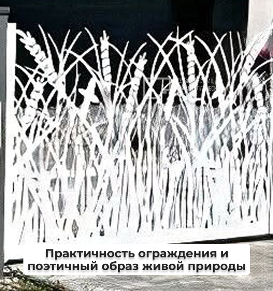 Узор Селестия.png