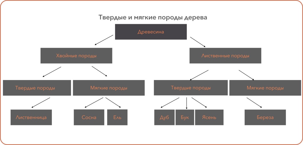 Твёрдые и мягкие породы дерева