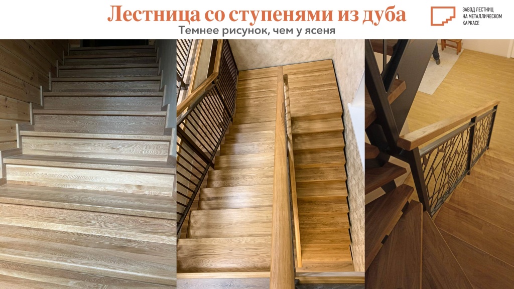 дуб.jpg