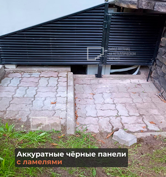 1231.png 1231.png