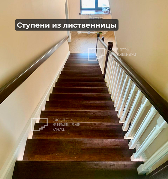 559.jpg 559.jpg