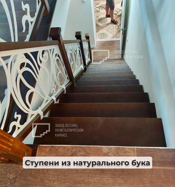 564.jpg 564.jpg